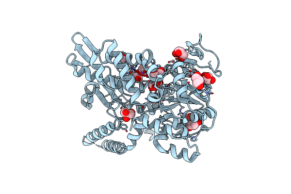 5L50 image