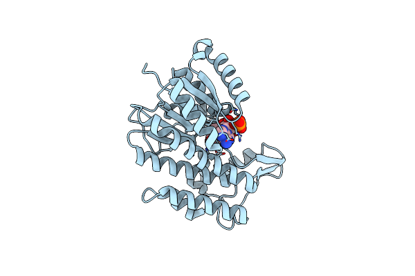 5L53 image