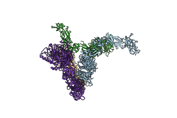 5L5G image