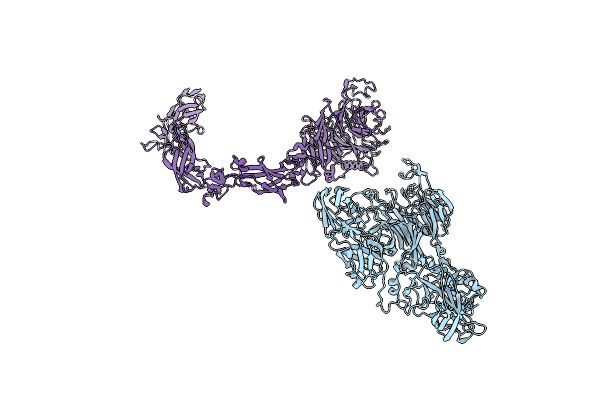 5L5L image