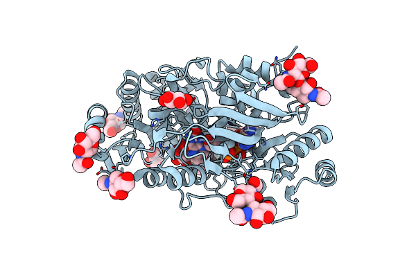 5L6G image