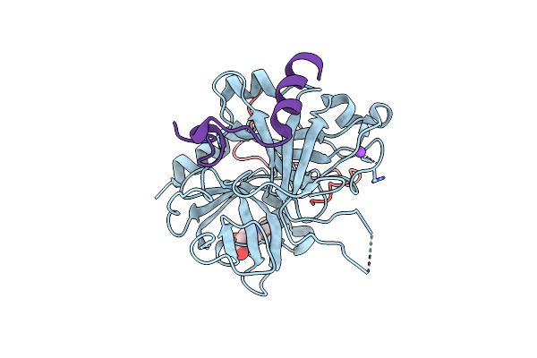 5L6N image