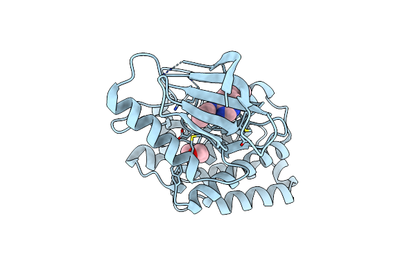 5L6O image