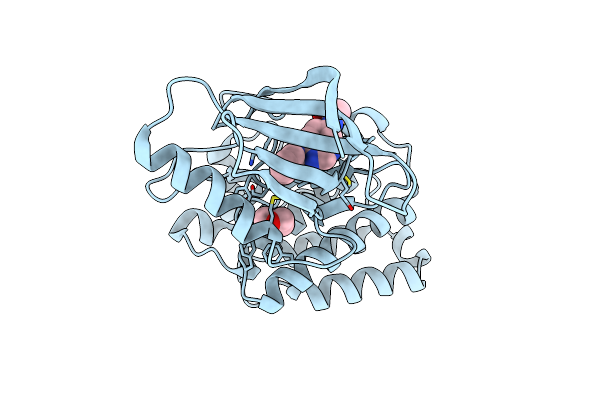 5L6P image