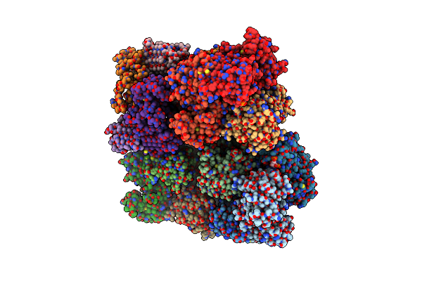 5L6S image