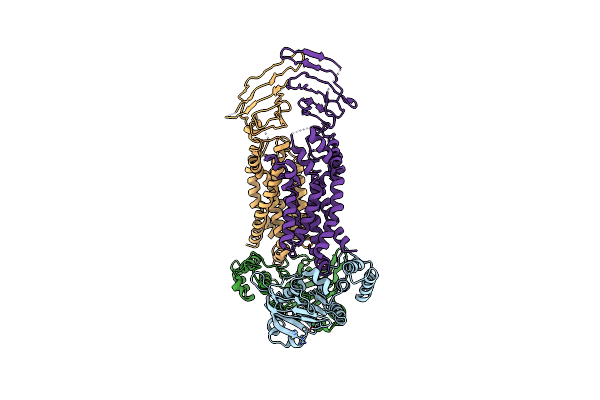 5L75 image