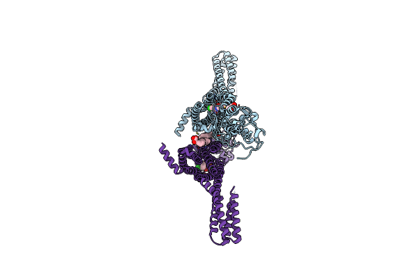 5L7I image