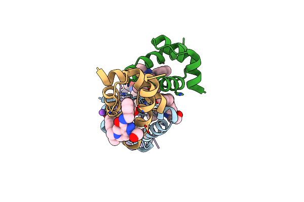 5L8A image
