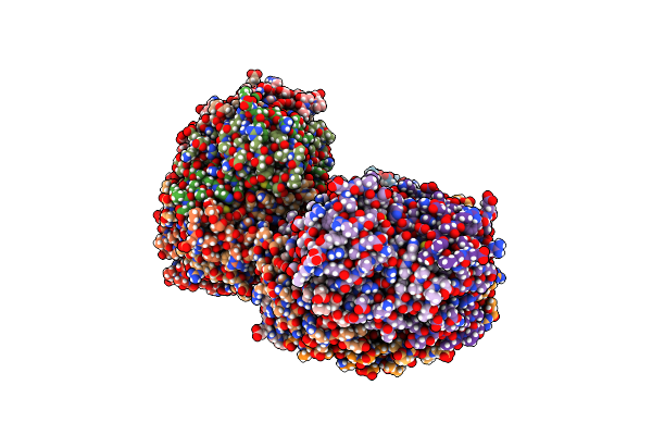 5L8B image