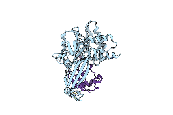 5L8H image