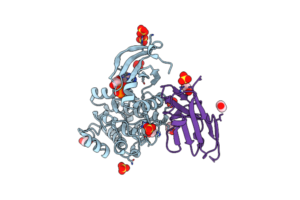 5L8L image