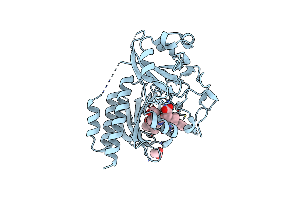 5L8M image