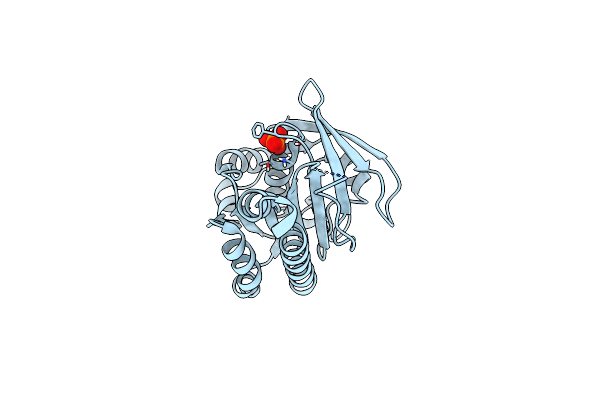 5L8V image