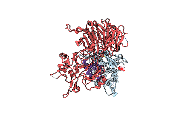 5L8W image