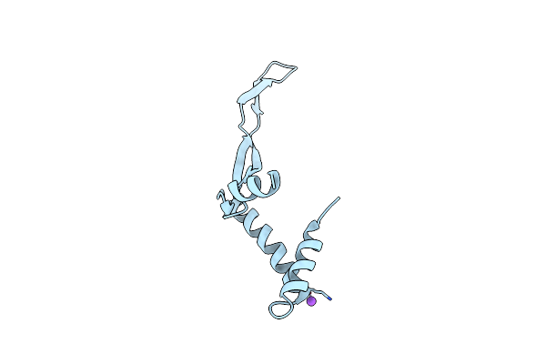 5L8Z image