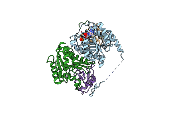 5L95 image