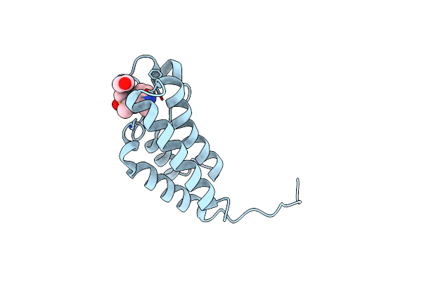 5L96 image