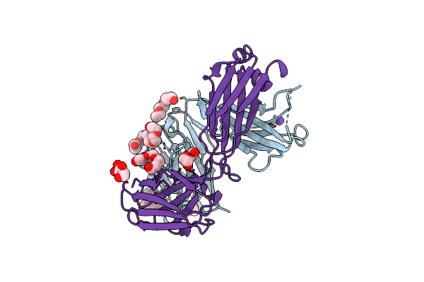 5L9D image