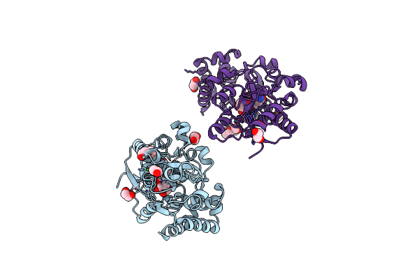 5L9I image