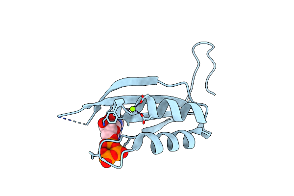 5L9N image