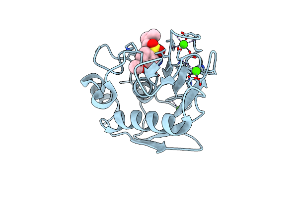 5LAB image