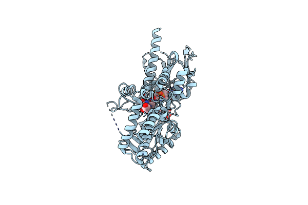 5LAE image