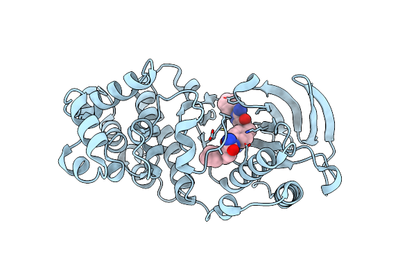 5LAR image
