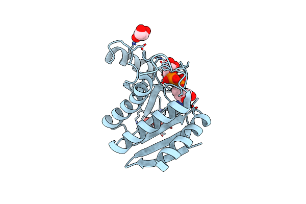 5LAU image
