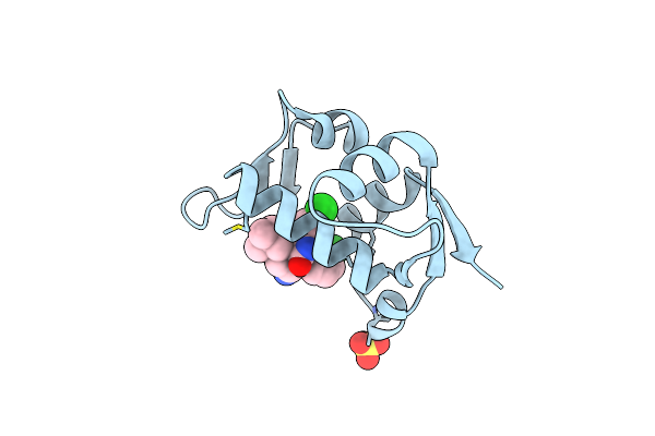 5LAV image