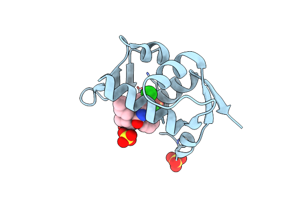 5LAW image