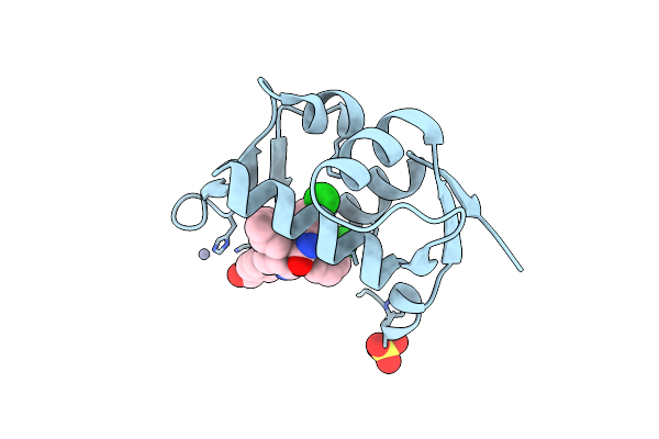 5LAZ image