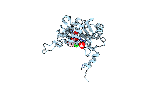 5LBB image