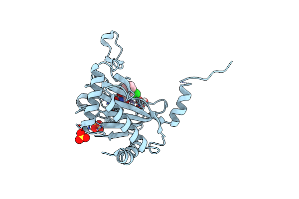 5LBF image