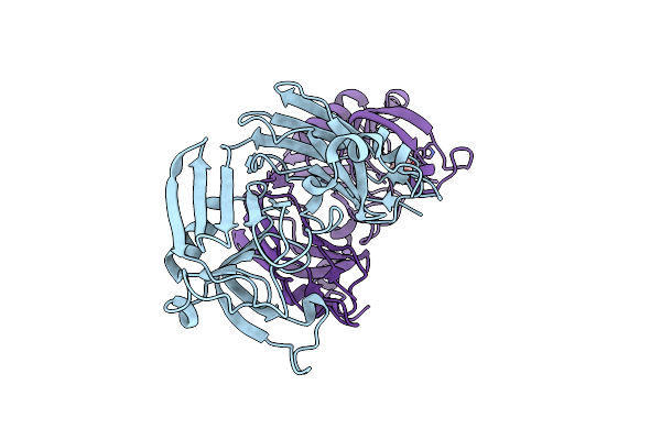 5LBG image