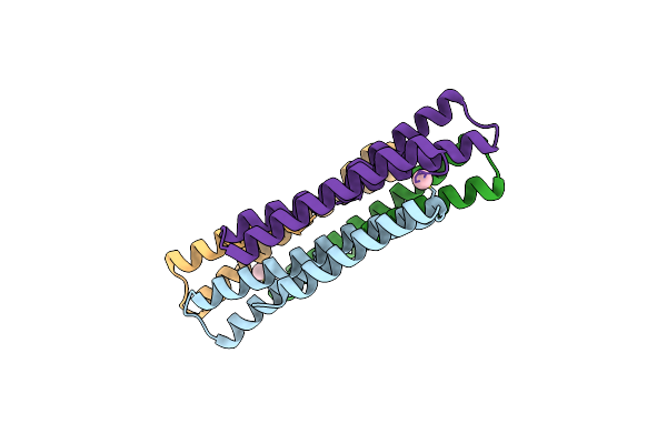 5LBM image