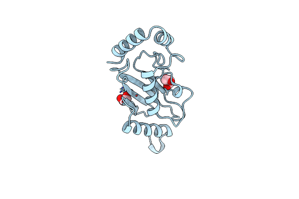 5LBN image