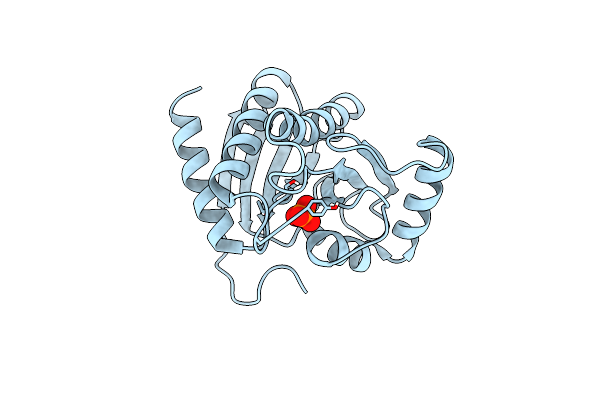 5LBP image