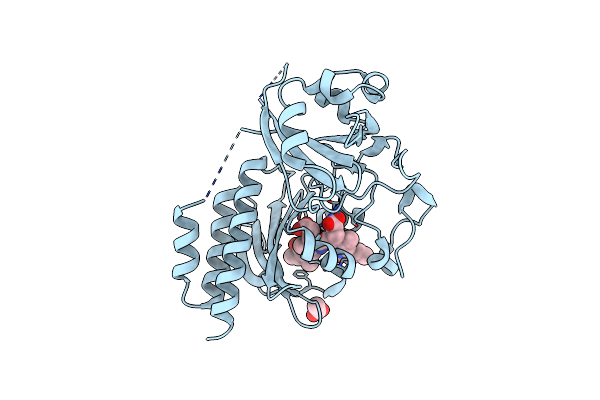 5LBR image