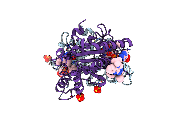 5LBT image