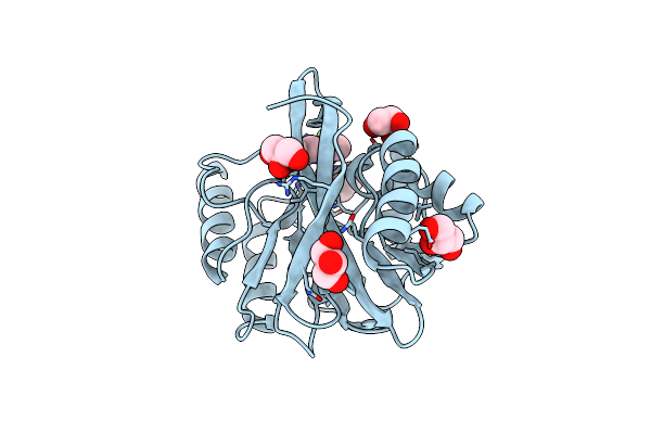 5LCA image