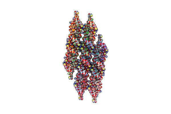 5LCB image