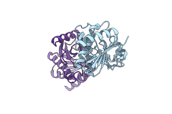 5LCC image