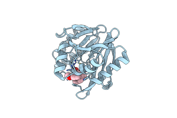 5LCH image