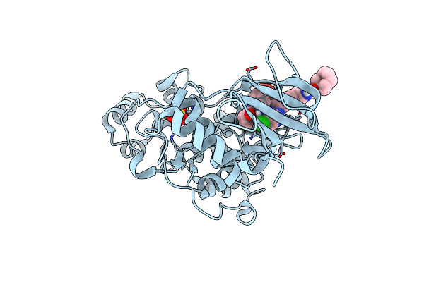 5LCJ image