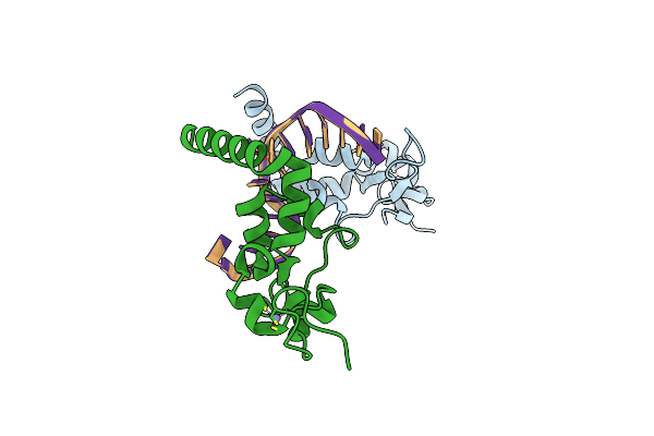 5LCL image