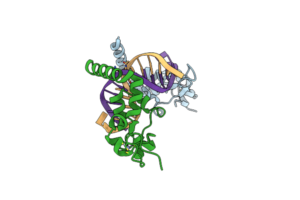 5LCM image