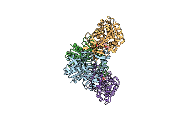 5LCN image