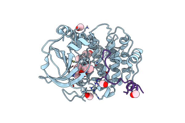 5LCP image