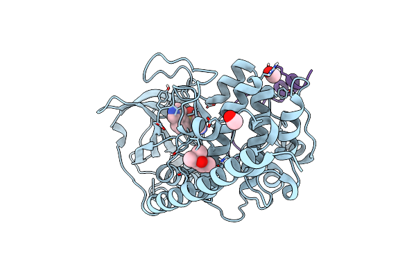 5LCT image