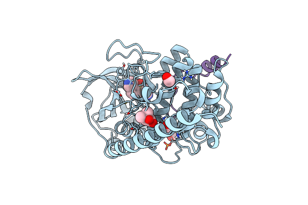 5LCU image